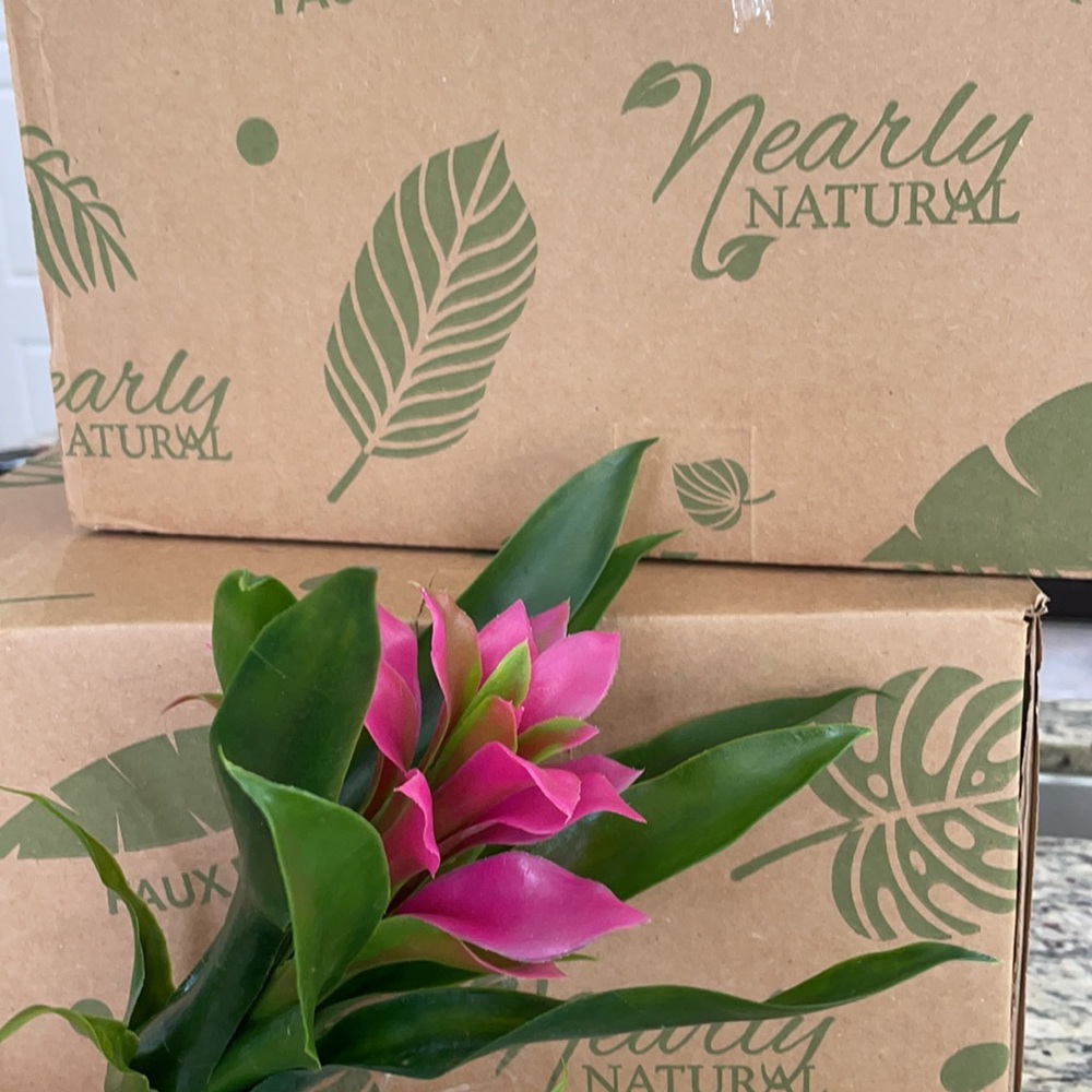 Nearly natural purple bromeliad